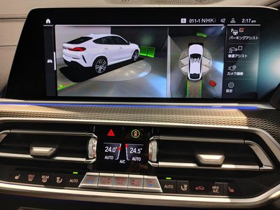 2021 BMW X6 — миниатюра 73