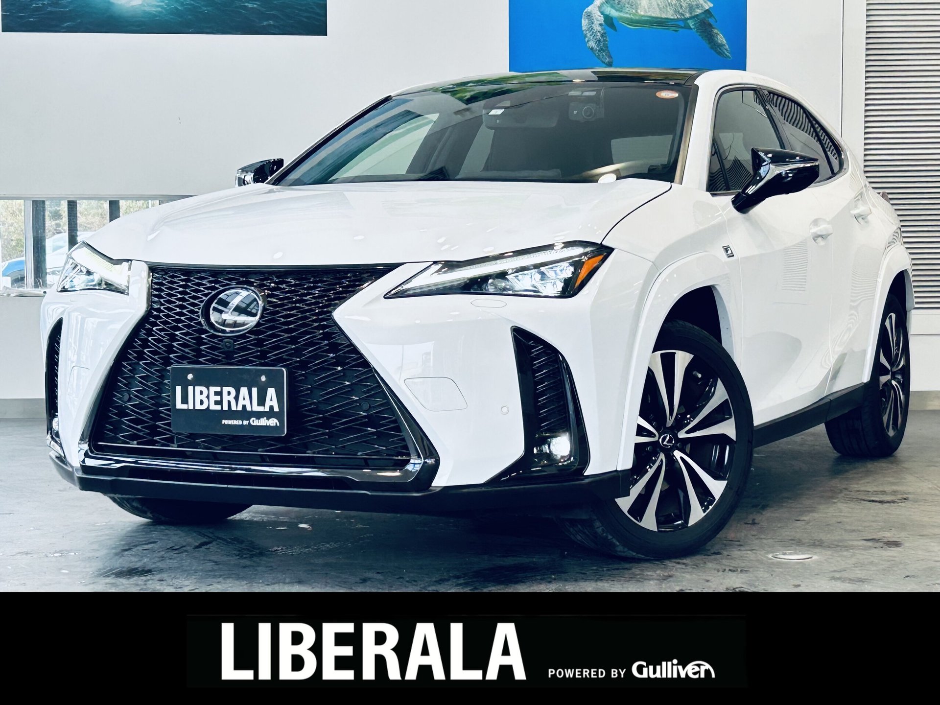 LEXUS UX - View 1