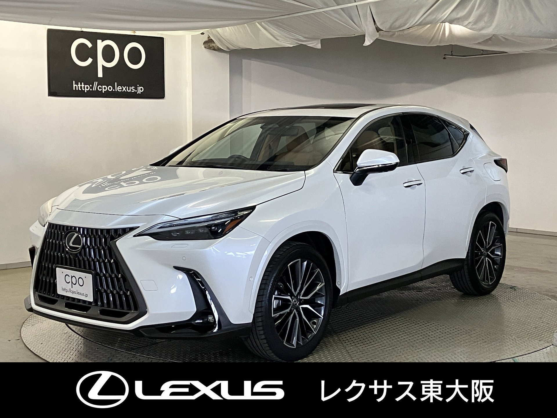 LEXUS NX - View 1