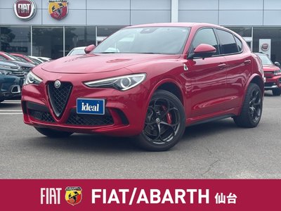 صورة مصغرة 40 لـ 2019 ALFA Romeo STELVIO