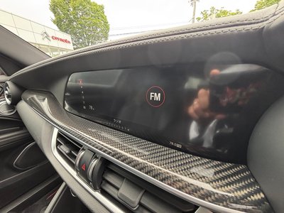 صورة مصغرة 57 لـ 2019 ALFA Romeo STELVIO