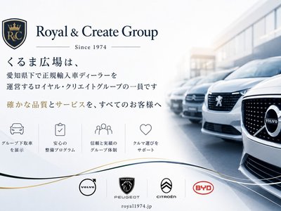 TOYOTA LAND CRUISER 250 - 2