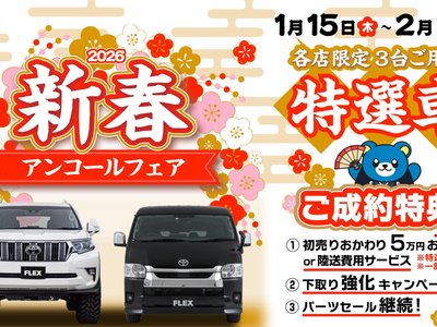 TOYOTA LAND CRUISER PRADO - 4