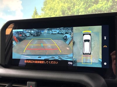 TOYOTA LAND CRUISER 250 - 5