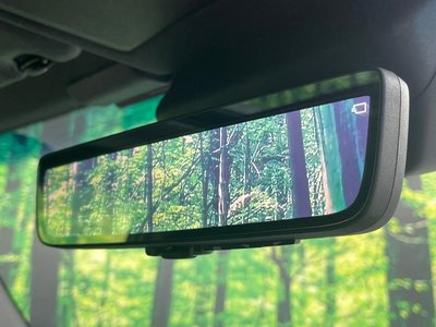 TOYOTA LAND CRUISER 250 - 6