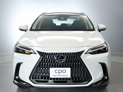 LEXUS NX - 2