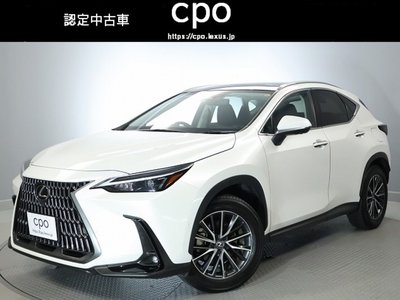 LEXUS NX - 1