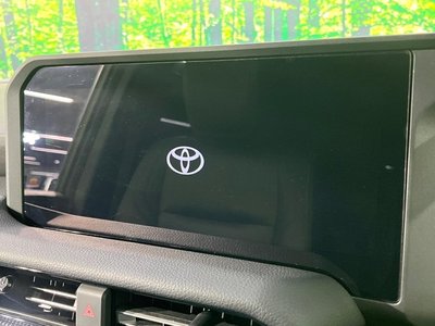 TOYOTA LAND CRUISER 250 - 4