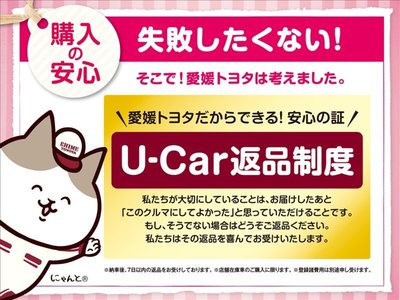 2024 Toyota LAND CRUISER 250 照片 6