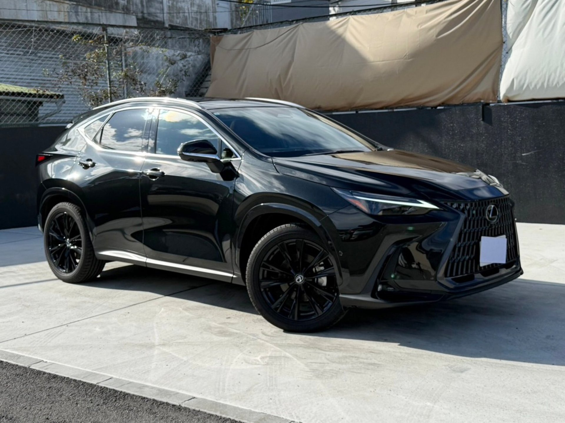 LEXUS NX - View 1
