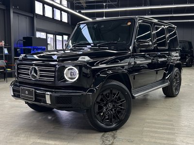 MERCEDES-BENZ G-CLASS - 9