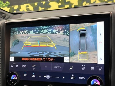 TOYOTA ALPHARD - 7