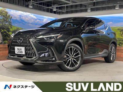 LEXUS NX - 1