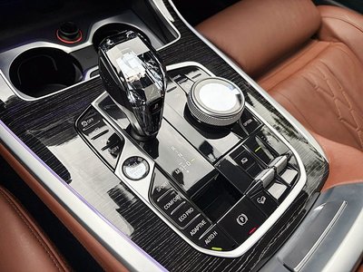 2022 BMW X7 照片 9