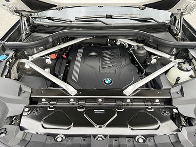 2022 BMW X7 照片 7
