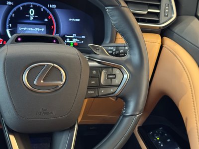 2025 Lexus LX 缩略图 15