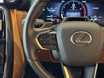 2025 Lexus LX 缩略图 14