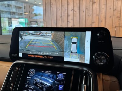 2025 Lexus LX 缩略图 18