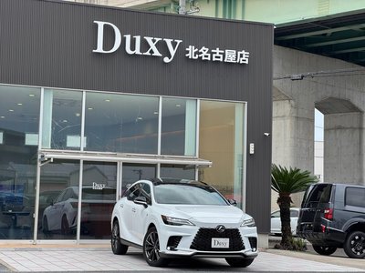 LEXUS RX - 8