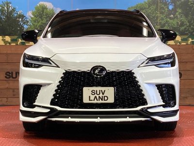 2023 Lexus RX 缩略图 14