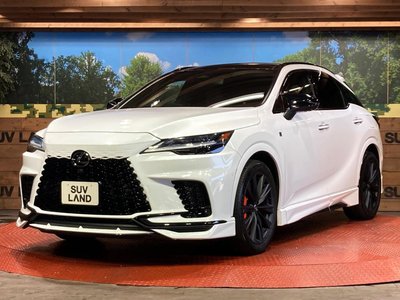 2023 Lexus RX 缩略图 26