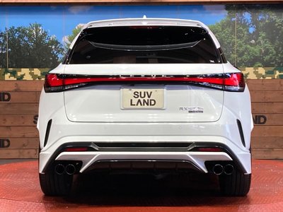 2023 Lexus RX 缩略图 15
