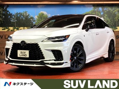 2023 Lexus RX photo 1