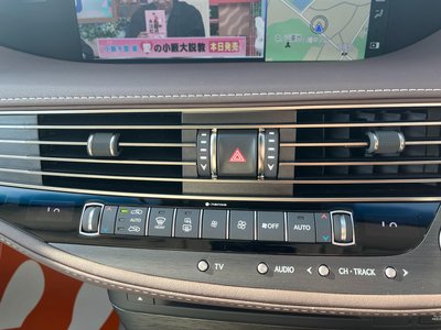 2020 Lexus LS 缩略图 13