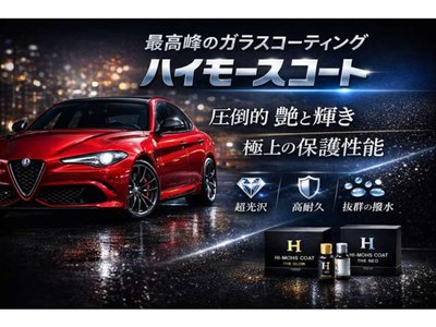 2021 ALFA Romeo JULIA — миниатюра 62