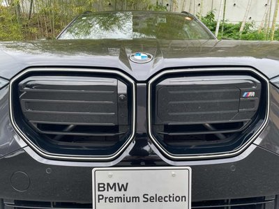2025 BMW X3 缩略图 36