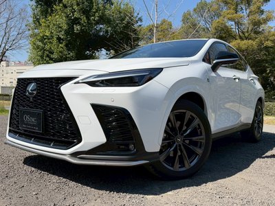 LEXUS NX - 6