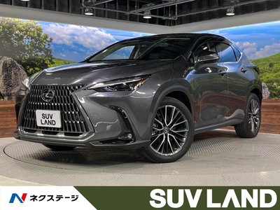 2023 Lexus NX 照片 1