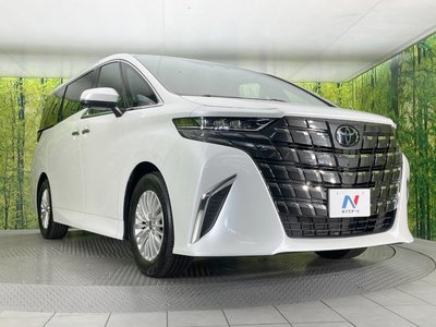 2025 Toyota ALPHARD — миниатюра 17