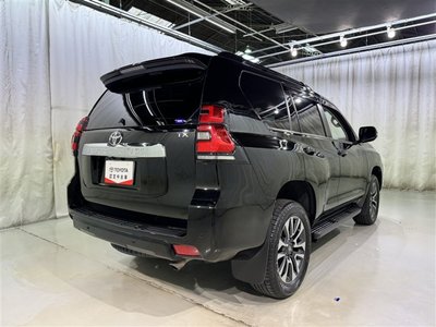 TOYOTA LAND CRUISER PRADO - 7