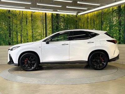 2023 Lexus NX — миниатюра 38