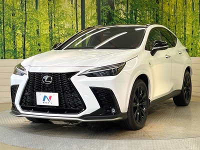 2023 Lexus NX — миниатюра 35
