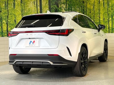 2023 Lexus NX — миниатюра 17