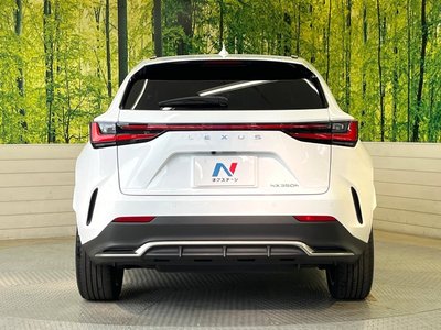 2023 Lexus NX — миниатюра 15