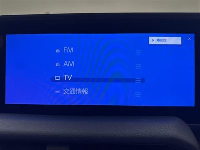 TOYOTA LAND CRUISER 250 - 3