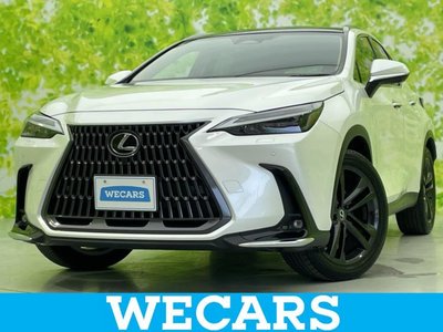 LEXUS NX - 1