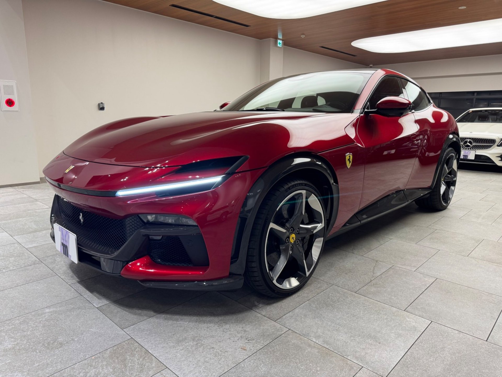 FERRARI PUROSANGUE - View 1