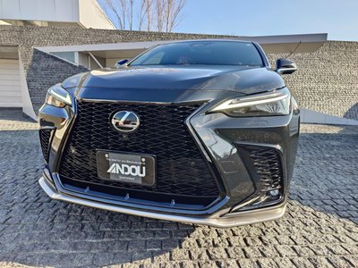 LEXUS NX - 6