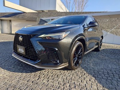LEXUS NX - 1