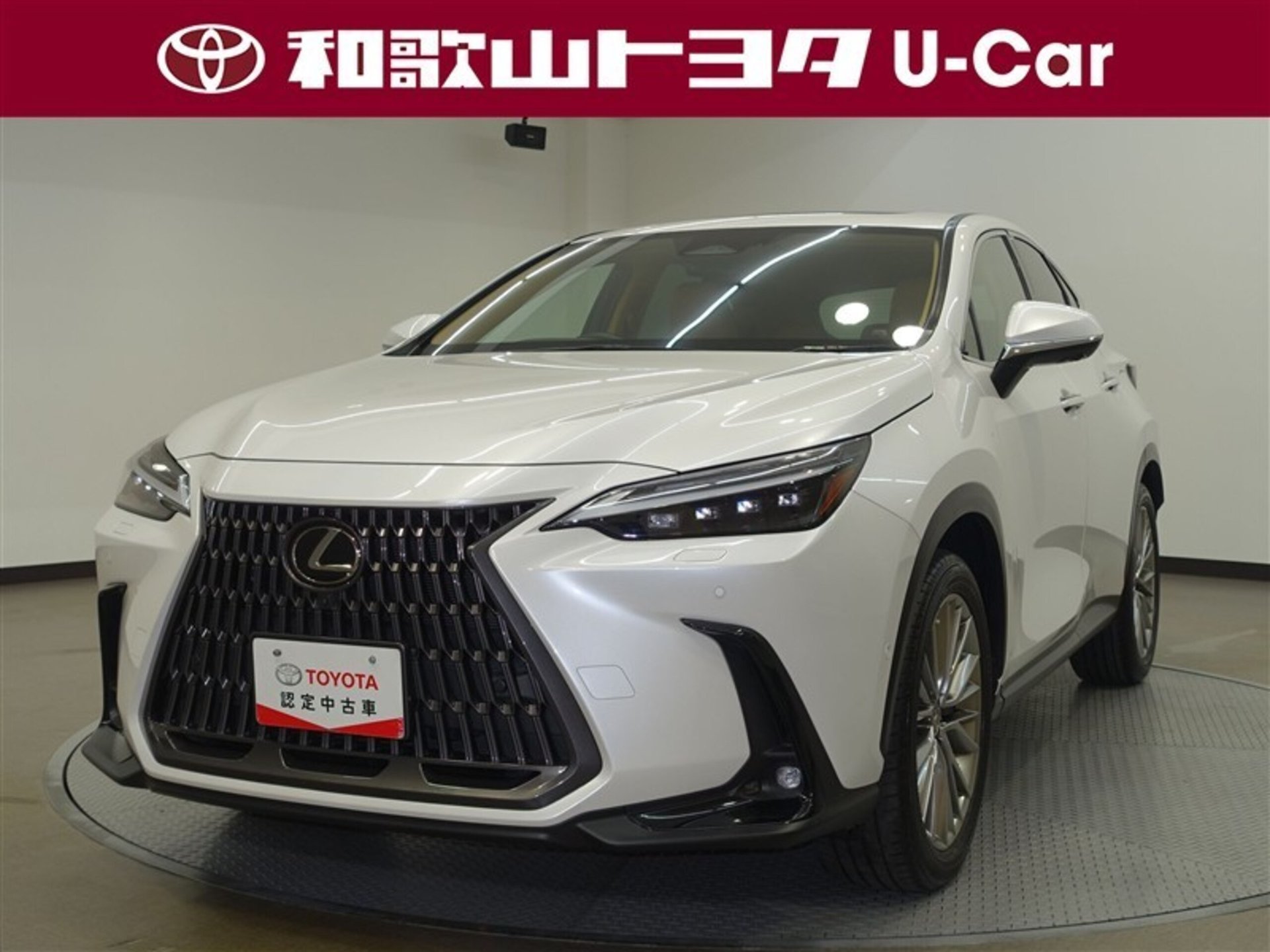 LEXUS NX - View 1