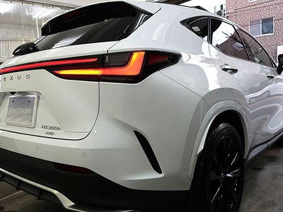 2024 Lexus NX 照片 9