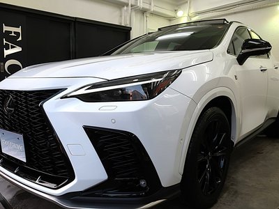 2024 Lexus NX 照片 10