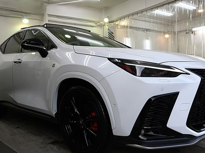 2024 Lexus NX 照片 8