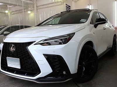 2024 Lexus NX 照片 1