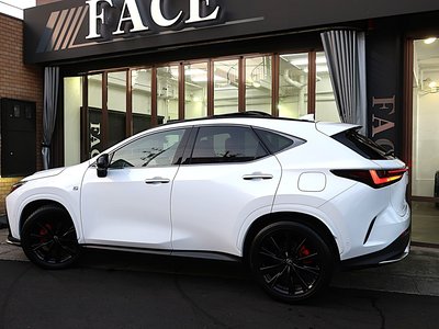 2024 Lexus NX 照片 6