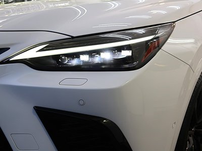 2024 Lexus NX 照片 7